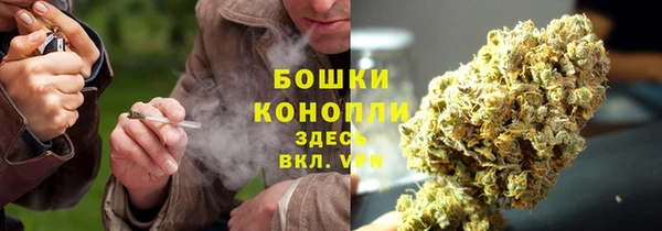 2c-b Верхний Тагил