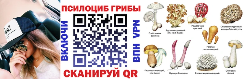 Псилоцибиновые грибы прущие грибы  shop формула  Выборг  ссылка на мегу ССЫЛКА 